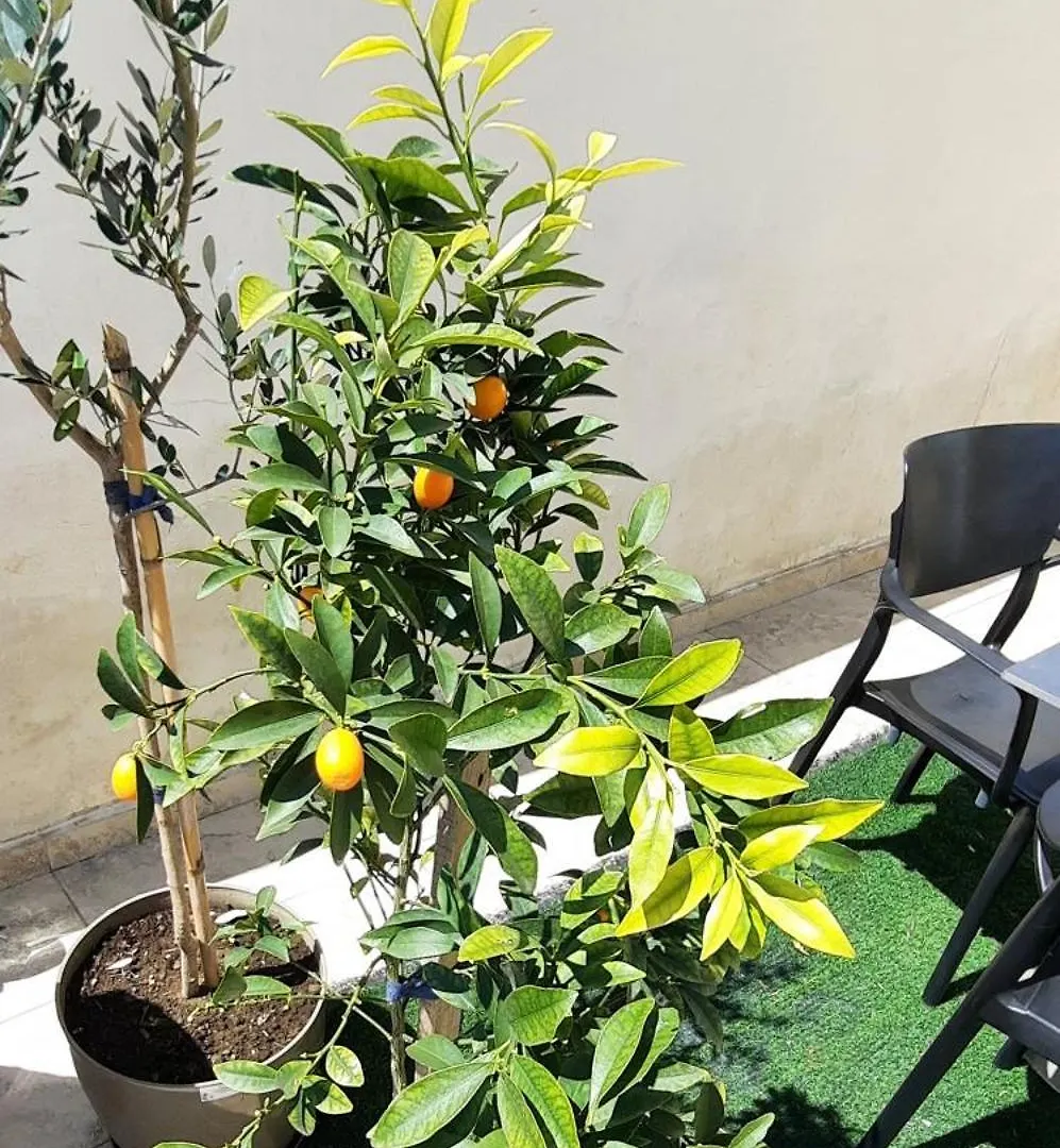 Apartmán Hidden Gem, Modern 2Bedroom, Amazing Terrace-Free Parking-Your Home Away From Home Tirana