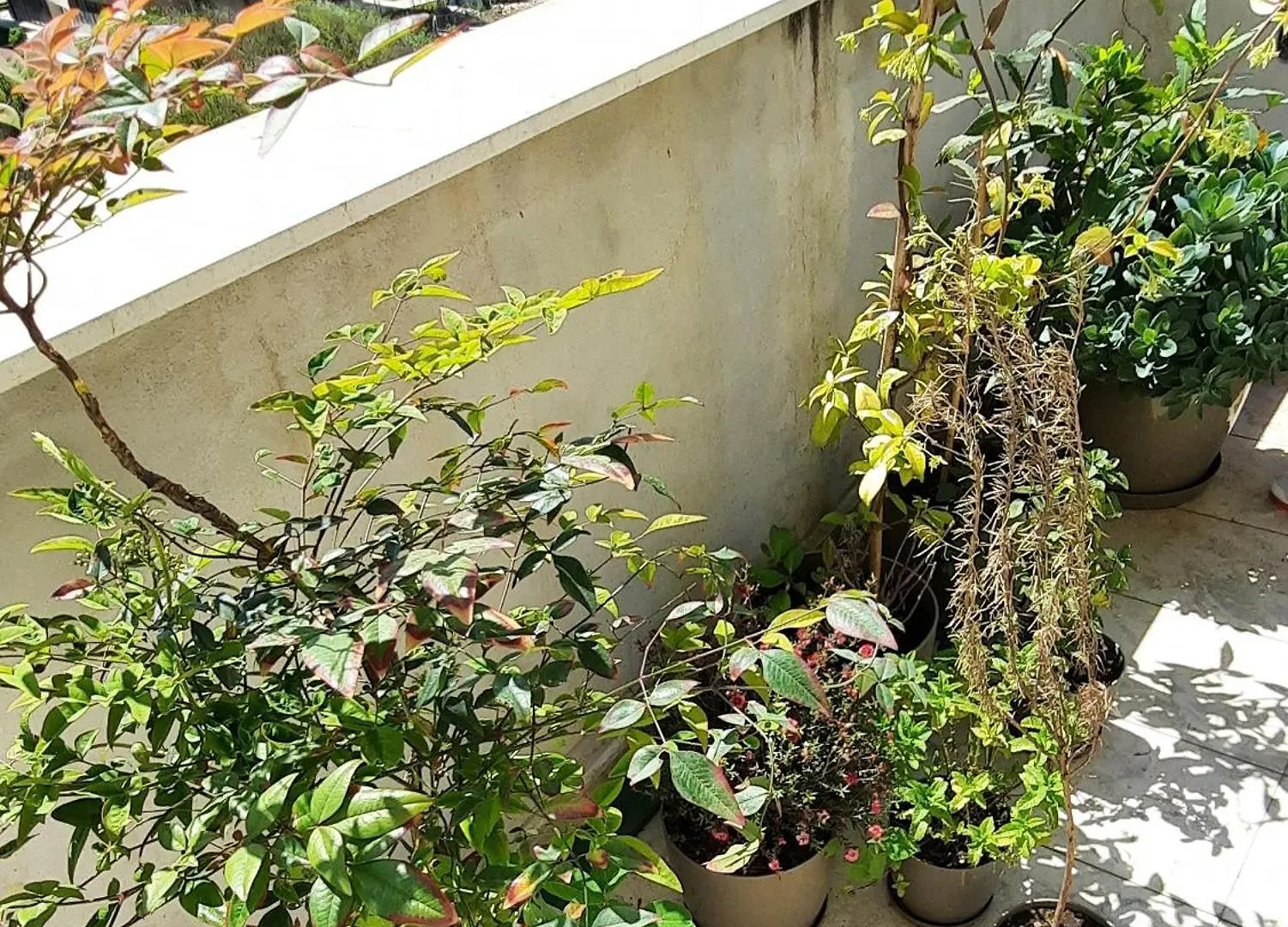 Hidden Gem, Modern 2Bedroom, Amazing Terrace-Free Parking-Your Home Away From Home Tirana Apartman